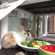 2022 07 Mitanond Knuddeln 01