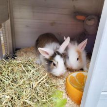 2022 07 Mitanond Knuddeln 02