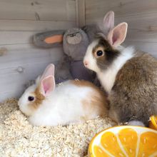 2022 07 Mitanond Knuddeln 03