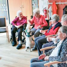 2023 04 Chico Besuch 01