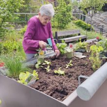 2023 05 Hochbeete Im Mitanond 02