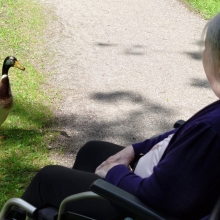 Sommerliche Auszeit im Matzenpark