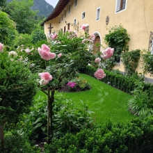 Mitanond Matzenpark 2 Sommerliche Auszeit im Matzenpark