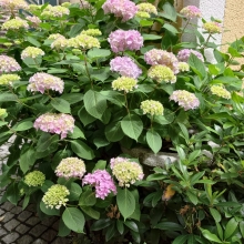 Sommerliche Auszeit im Matzenpark